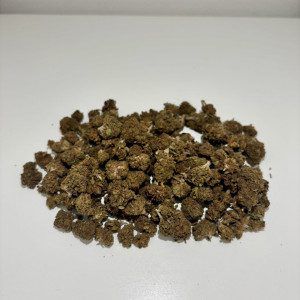 Minibuds Mango – Sabor tropical en flores compactas y aromáticas