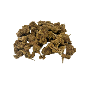 Lemon 10-oh – Aroma cítrico y frescura en cada cogollo